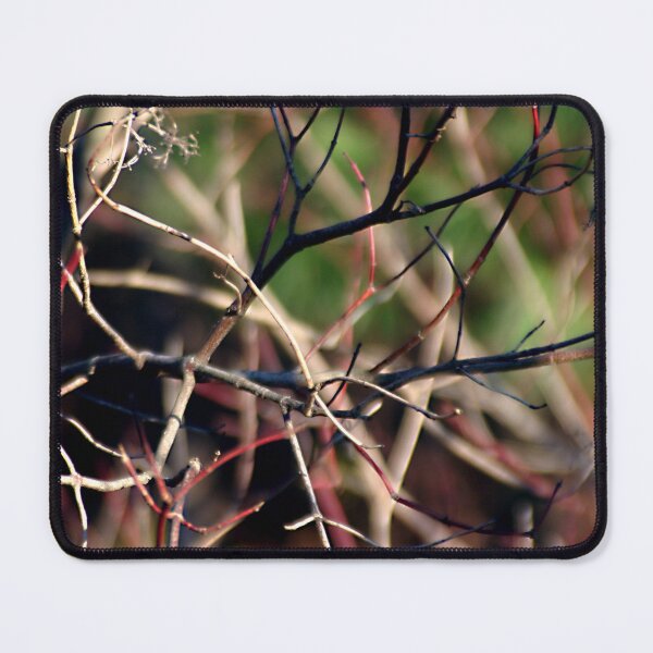 Item preview, Dogwood Dance designed and sold by Wayne King.
