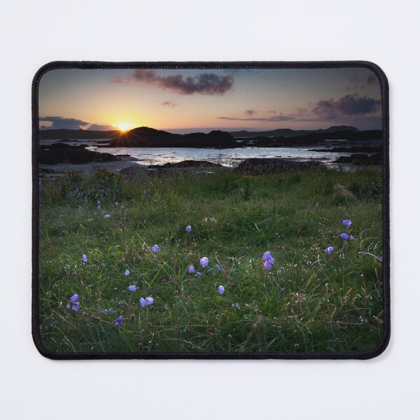 Item preview, Harebells at Sunset designed and sold by RedGrouse.