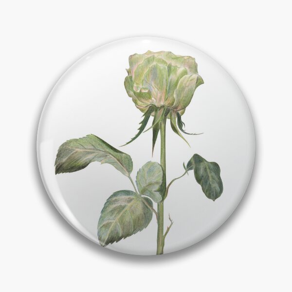 Item preview, Green Rose Colored Pencils Art designed and sold by Flowersforbear.
