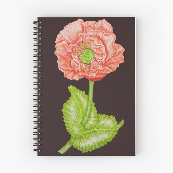 Item preview, Vintage Coral red Poppy Flower Botanical Drawing designed and sold by calmcolourprint.