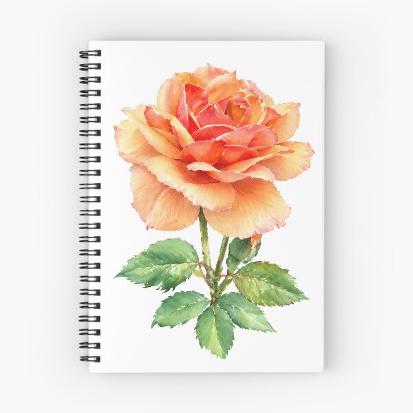 Item preview, Peach Rose Watercolor Botanical Flower designed and sold by Shew Gallery.