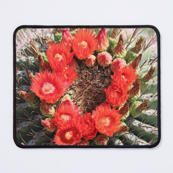 Item preview, Red Wonderful Cactus Flowers designed and sold by simonjayphotos.