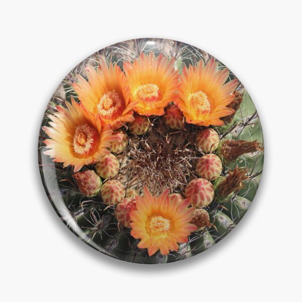 Item preview, Wonderful Barrel Cactus Flowers designed and sold by simonjayphotos.