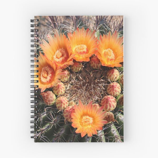 Item preview, Wonderful Barrel Cactus Flowers designed and sold by simonjayphotos.
