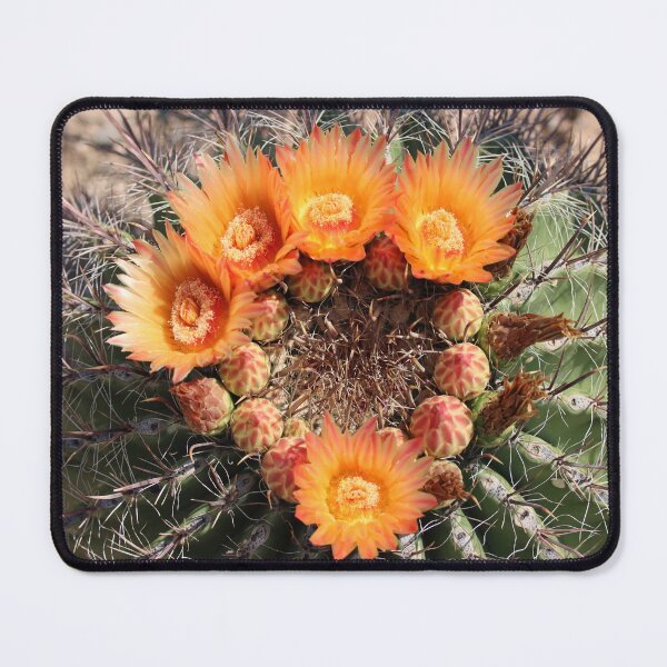 Item preview, Wonderful Barrel Cactus Flowers designed and sold by simonjayphotos.