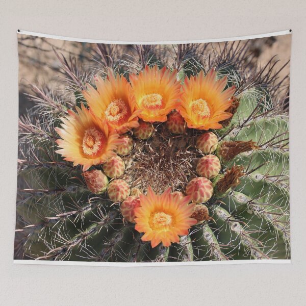 Item preview, Wonderful Barrel Cactus Flowers designed and sold by simonjayphotos.