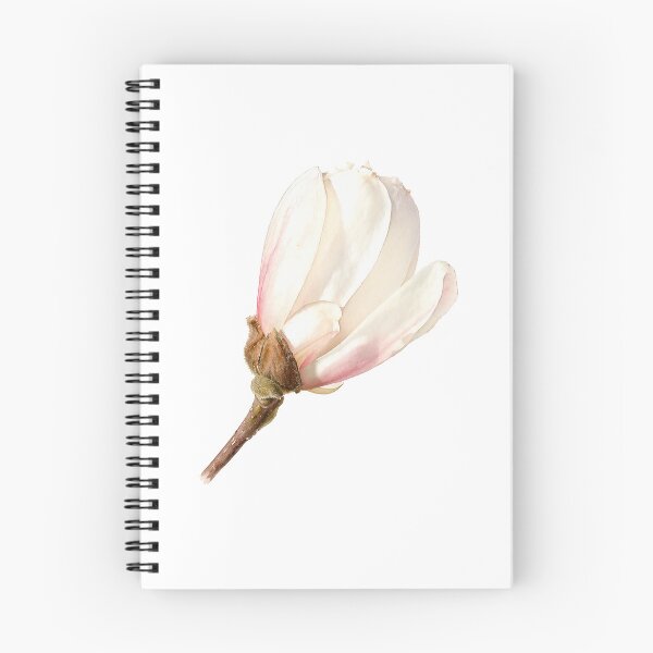Item preview, White Magnolia Bud Watercolor Botanical Art designed and sold by Shew Gallery.