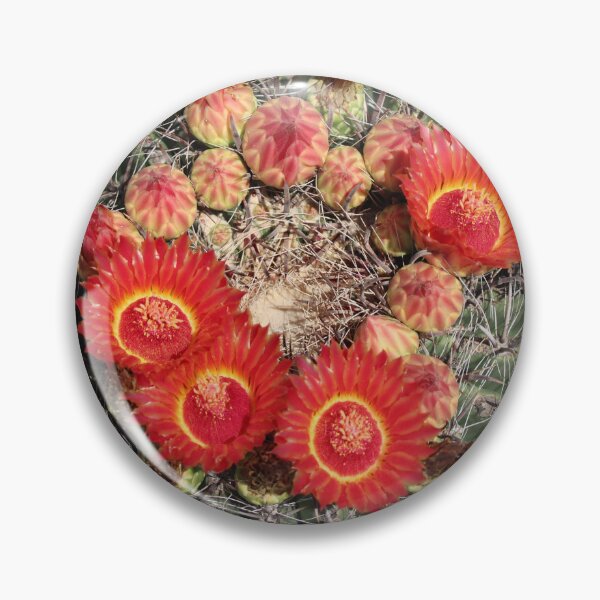 Item preview, Red Amazing Barrel Cactus Flowers designed and sold by simonjayphotos.