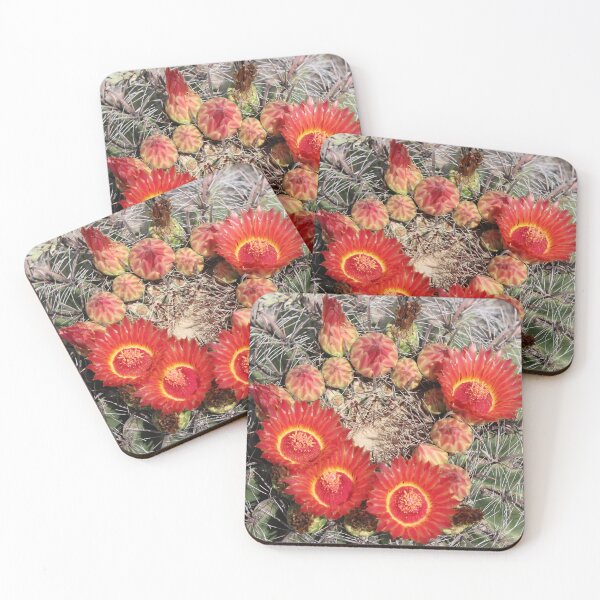 Item preview, Red Amazing Barrel Cactus Flowers designed and sold by simonjayphotos.