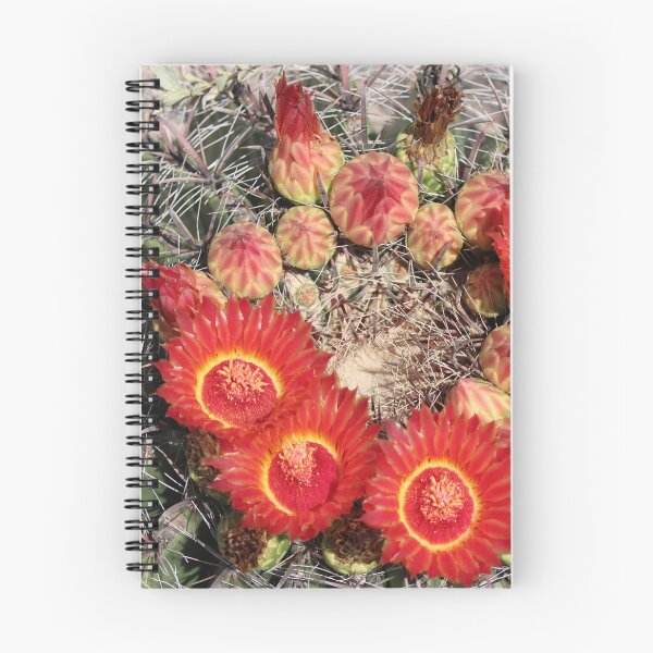 Item preview, Red Amazing Barrel Cactus Flowers designed and sold by simonjayphotos.