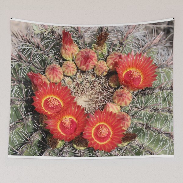 Item preview, Red Amazing Barrel Cactus Flowers designed and sold by simonjayphotos.