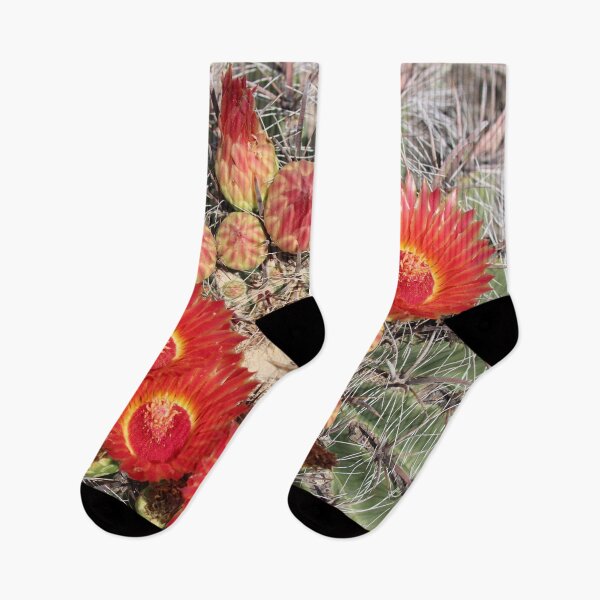 Item preview, Red Amazing Barrel Cactus Flowers designed and sold by simonjayphotos.
