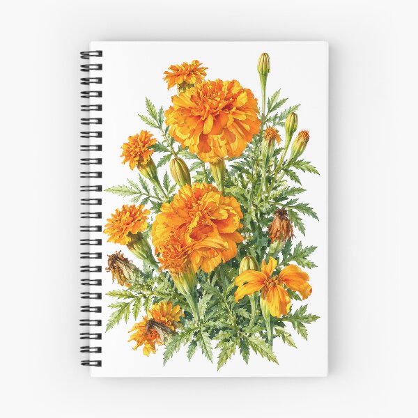 Item preview, Orange Marigolds Watercolor Botanical Garden Art designed and sold by Shew Gallery.