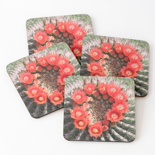 Item preview, Amazing Barrel Cactus Flowers designed and sold by simonjayphotos.