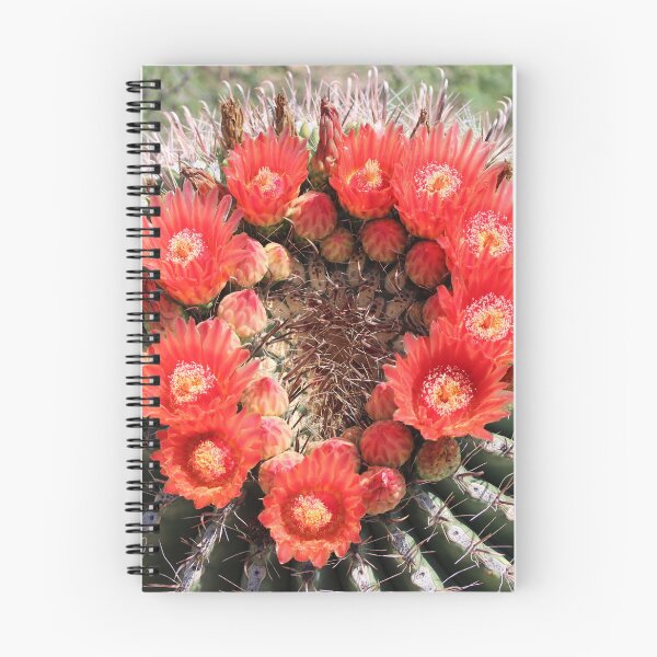 Item preview, Amazing Barrel Cactus Flowers designed and sold by simonjayphotos.