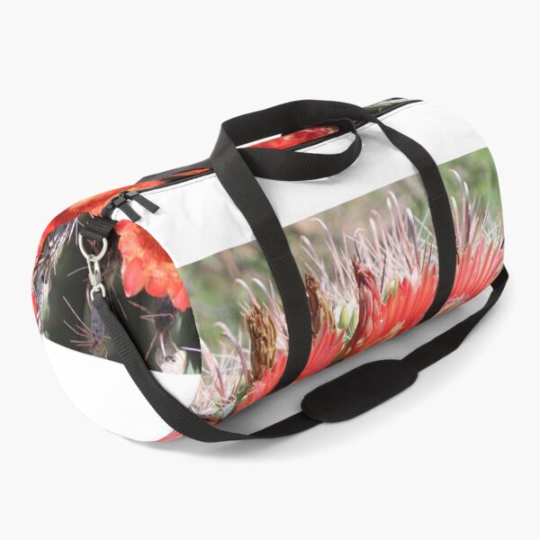 Item preview, Amazing Barrel Cactus Flowers designed and sold by simonjayphotos.