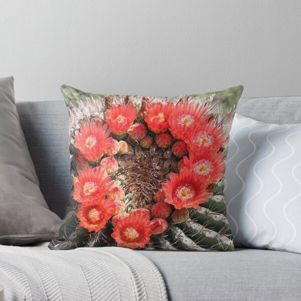 Item preview, Amazing Barrel Cactus Flowers designed and sold by simonjayphotos.