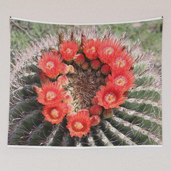 Item preview, Amazing Barrel Cactus Flowers designed and sold by simonjayphotos.