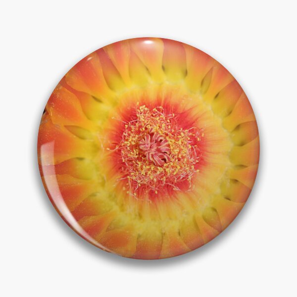 Item preview, Beautiful Barrel Cactus Flower designed and sold by simonjayphotos.