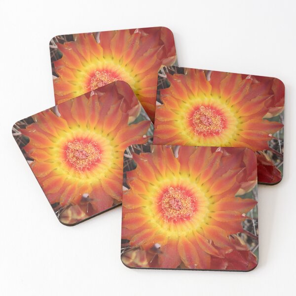 Item preview, Beautiful Barrel Cactus Flower designed and sold by simonjayphotos.