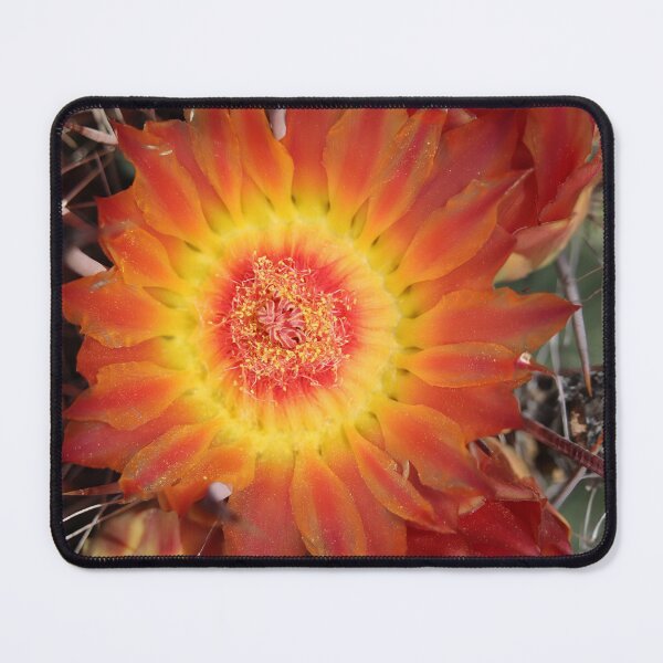 Item preview, Beautiful Barrel Cactus Flower designed and sold by simonjayphotos.