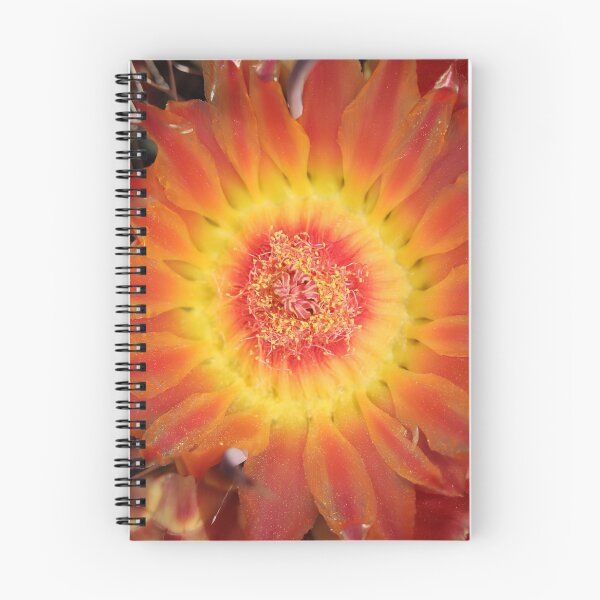Item preview, Beautiful Barrel Cactus Flower designed and sold by simonjayphotos.