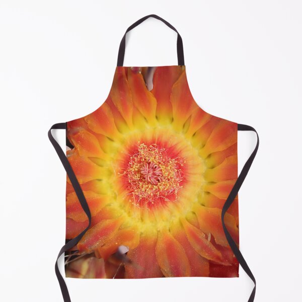 Item preview, Beautiful Barrel Cactus Flower designed and sold by simonjayphotos.