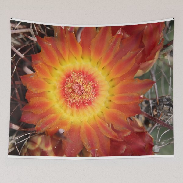 Item preview, Beautiful Barrel Cactus Flower designed and sold by simonjayphotos.