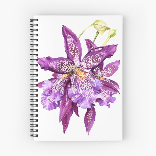 Item preview, Purple Spotted Orchid Watercolor Botanical Art designed and sold by Shew Gallery.