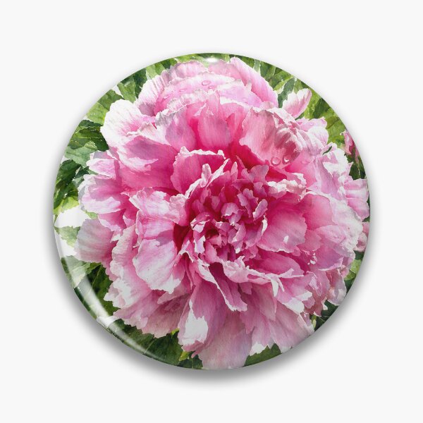 Artikelvorschau, Rosa Pfingstrose, Aquarell, botanische Blume entworfen und verkauft von Shew Gallery.
