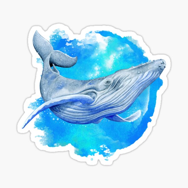 Ballena Azul Pegatina