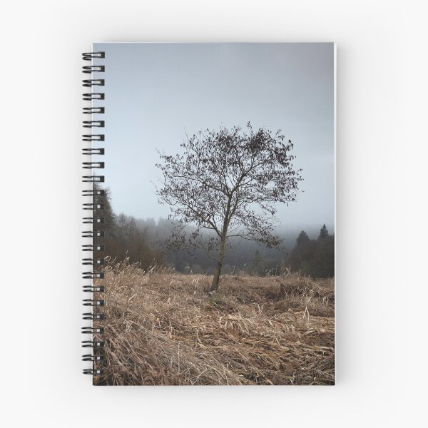 Item preview, lone tree, gight designed and sold by codaimages.