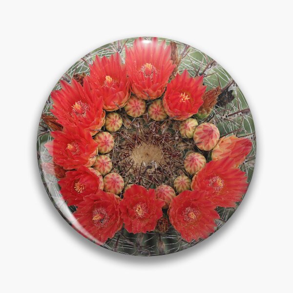 Item preview, Lovely Amazing Barrel Cactus Flowers designed and sold by simonjayphotos.