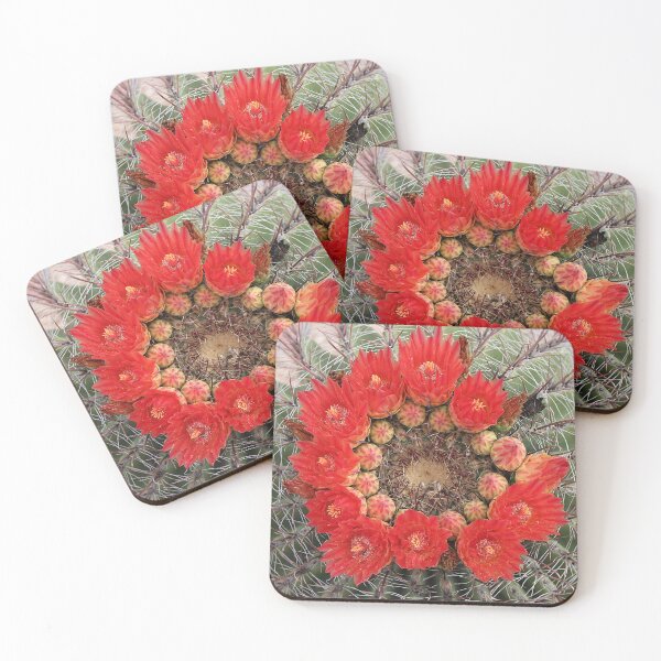 Item preview, Lovely Amazing Barrel Cactus Flowers designed and sold by simonjayphotos.