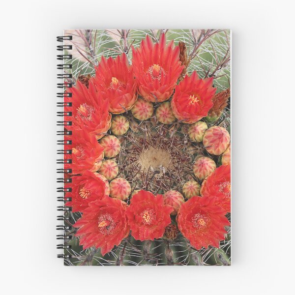 Item preview, Lovely Amazing Barrel Cactus Flowers designed and sold by simonjayphotos.