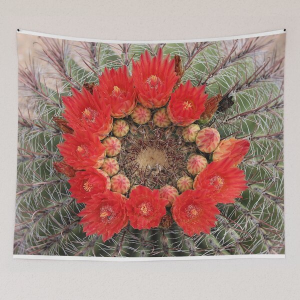 Item preview, Lovely Amazing Barrel Cactus Flowers designed and sold by simonjayphotos.