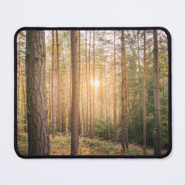 Item preview, Autumn forest glow. designed and sold by vz-mrvq-01.