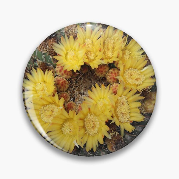 Item preview, Yellow Delight Barrel Cactus Flowers designed and sold by simonjayphotos.
