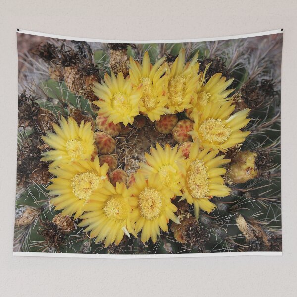 Item preview, Yellow Delight Barrel Cactus Flowers designed and sold by simonjayphotos.