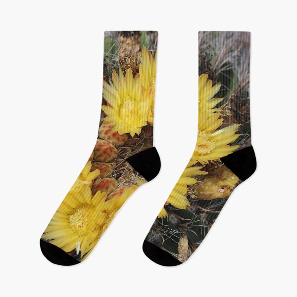 Item preview, Yellow Delight Barrel Cactus Flowers designed and sold by simonjayphotos.