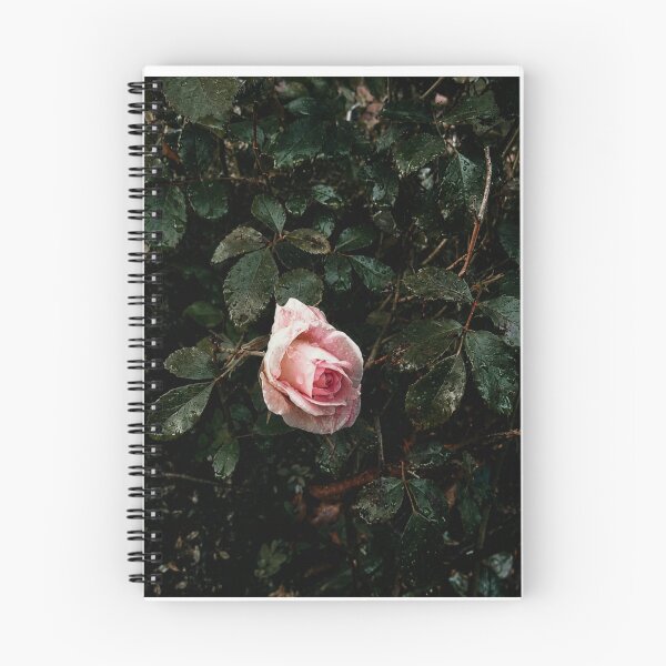 Artikelvorschau, Rose nach dem Regen entworfen und verkauft von Forest Owl.
