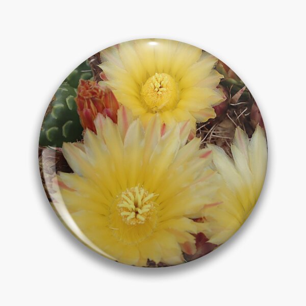 Item preview, Yellow Lovely Barrel Cactus Flowers designed and sold by simonjayphotos.