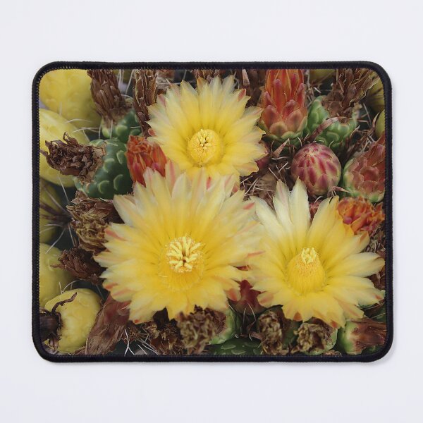Item preview, Yellow Lovely Barrel Cactus Flowers designed and sold by simonjayphotos.