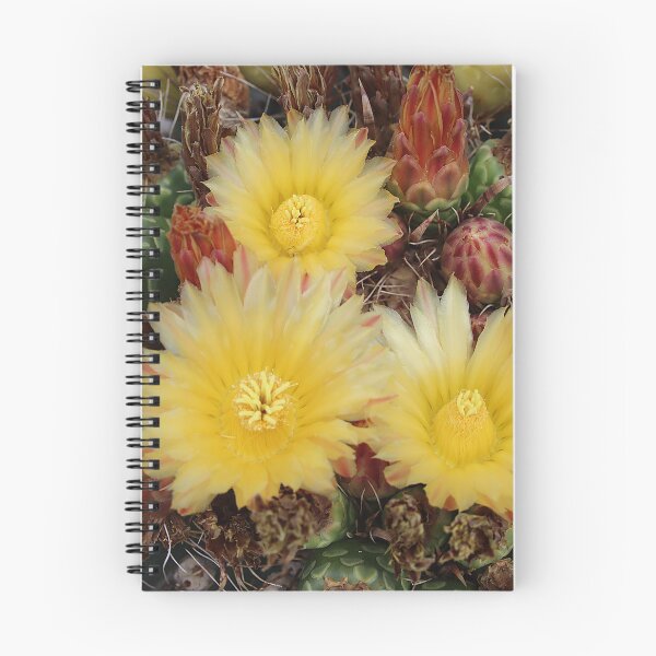 Item preview, Yellow Lovely Barrel Cactus Flowers designed and sold by simonjayphotos.
