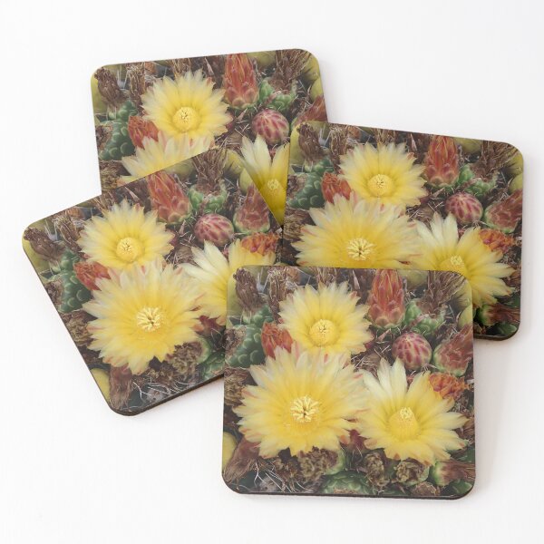 Item preview, Yellow Lovely Barrel Cactus Flowers designed and sold by simonjayphotos.