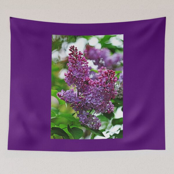Item preview, Love And Lilacs designed and sold by Debbie Oppermann.