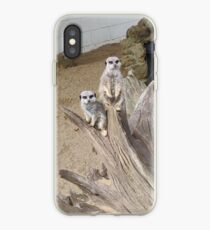 Meerkats iPhone Case
