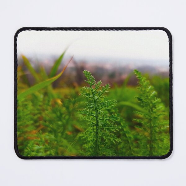 Item preview, Tiny Fernlike Leaves in Spring designed and sold by Levorr.