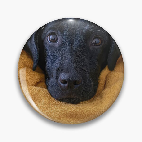 Item preview, Black Lab in Blanket 01 designed and sold by Elisabeth Lucas.