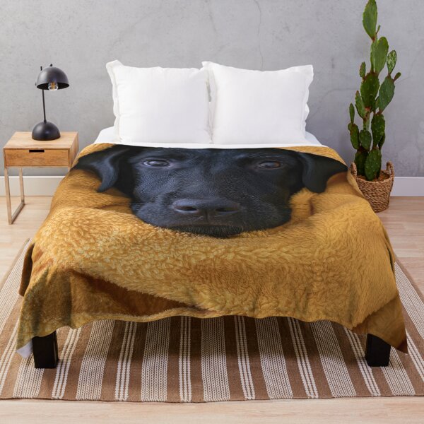 Item preview, Black Lab in Blanket 01 designed and sold by Elisabeth Lucas.